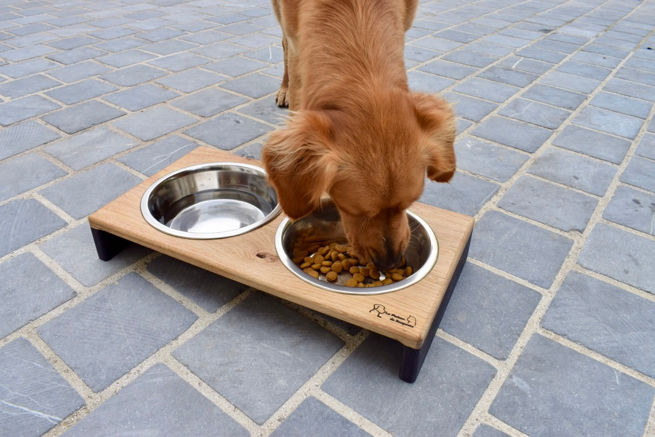 Porte gamelles pour chien