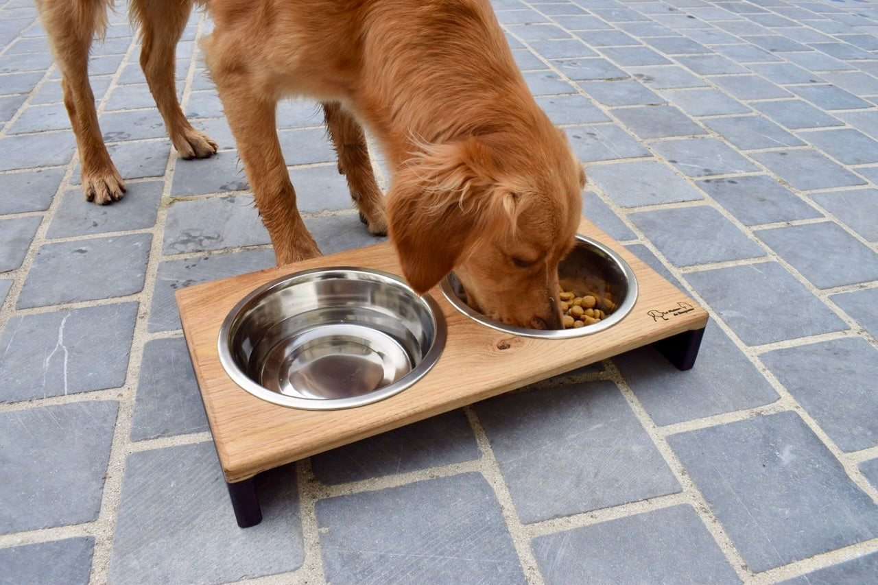 Porte gamelles pour chien