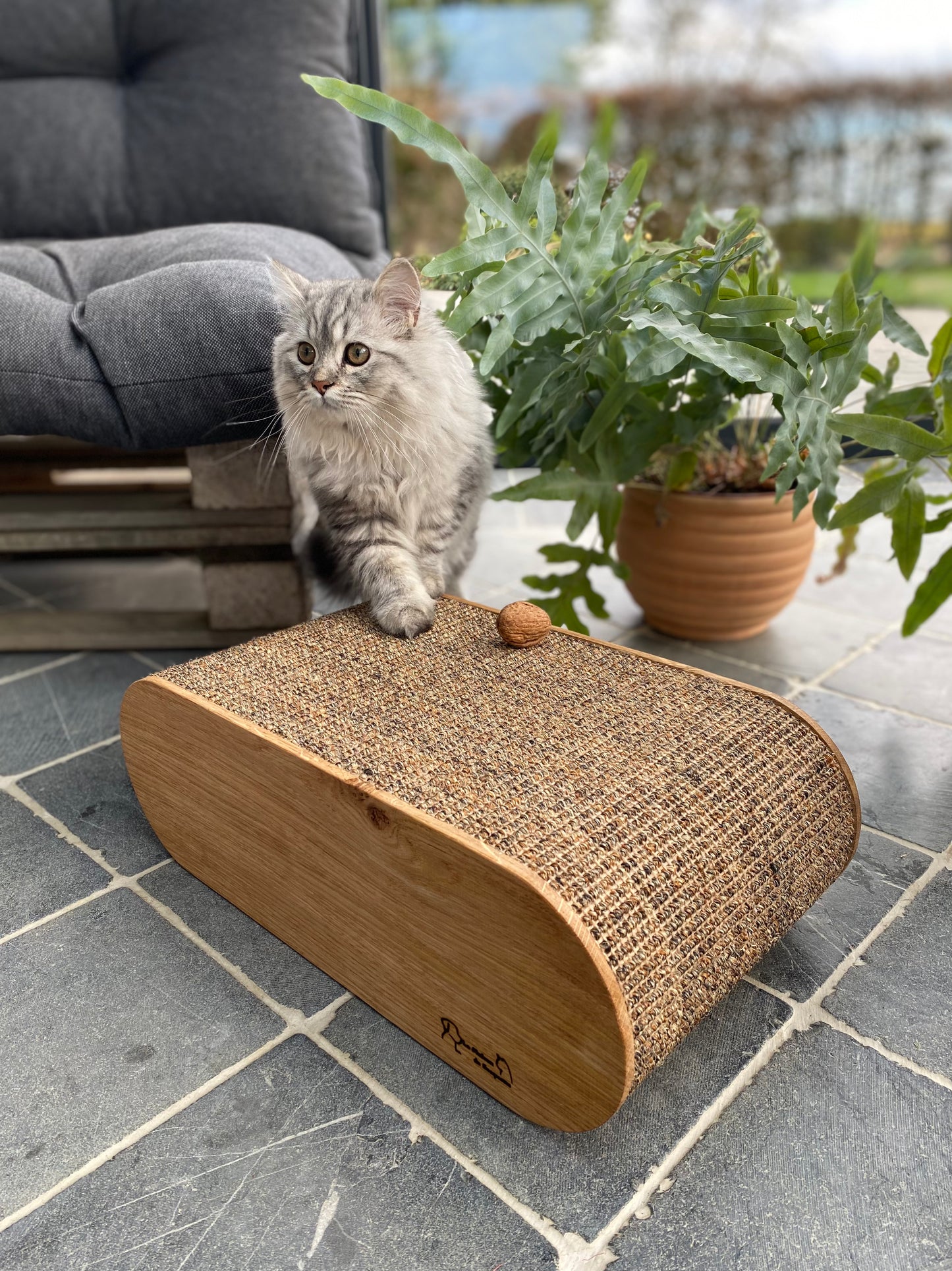 Griffoir pour chat