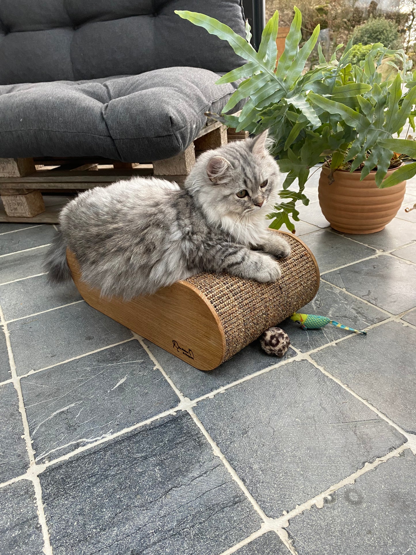 Griffoir pour chat